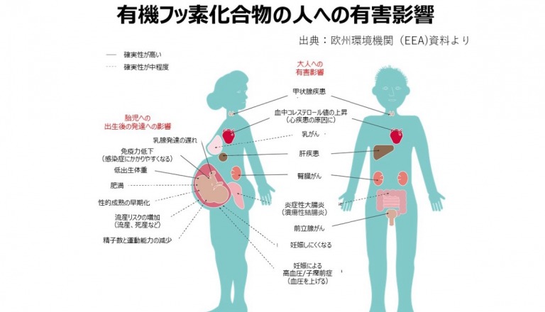 ソース画像を表示