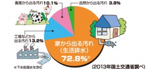 環境汚染の例は何ですか?