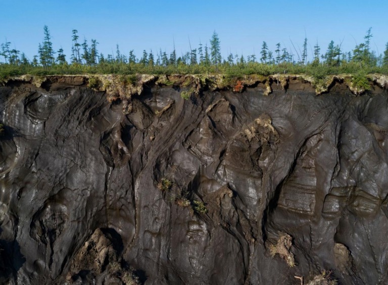  3万年の時を経て、シベリアの永久凍土でウイルスが復活