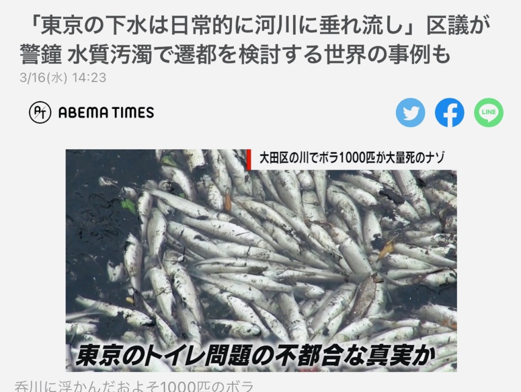 呑川 魚 大量 死